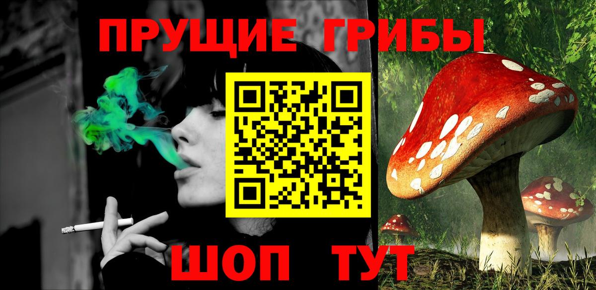 Галлюциногенные грибы GOLDEN TEACHER  Вход с VPN  наркотики  Галлюциногенные грибы прущие грибы  Кисловодск 