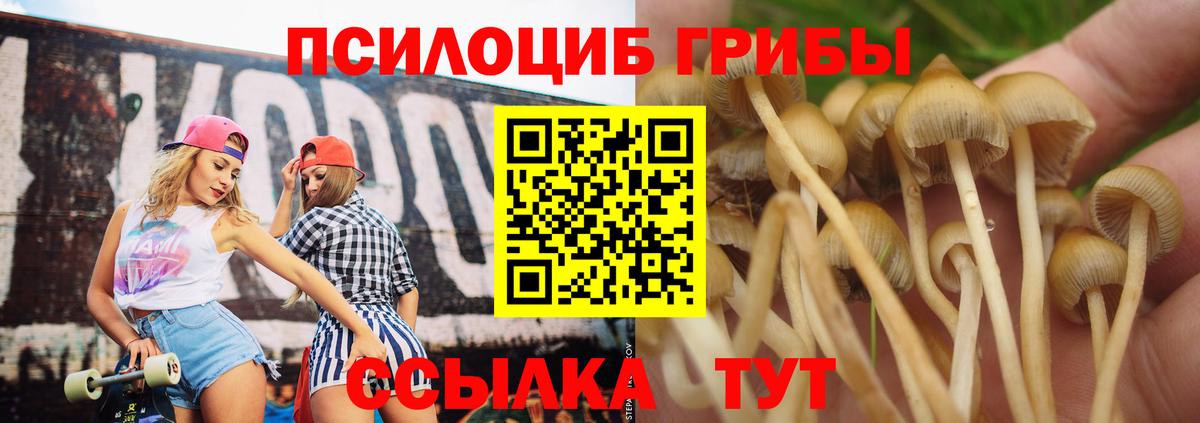 Галлюциногенные грибы прущие грибы Кисловодск
